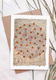 Yaffa, Palestine Greeting Card