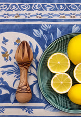 lemon squeezer