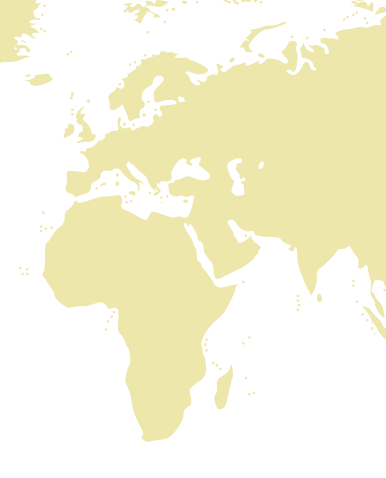 World map