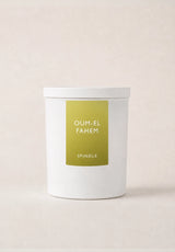 Oum-el Fahem